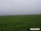 thumbs/Clubausfahrt 047.jpg